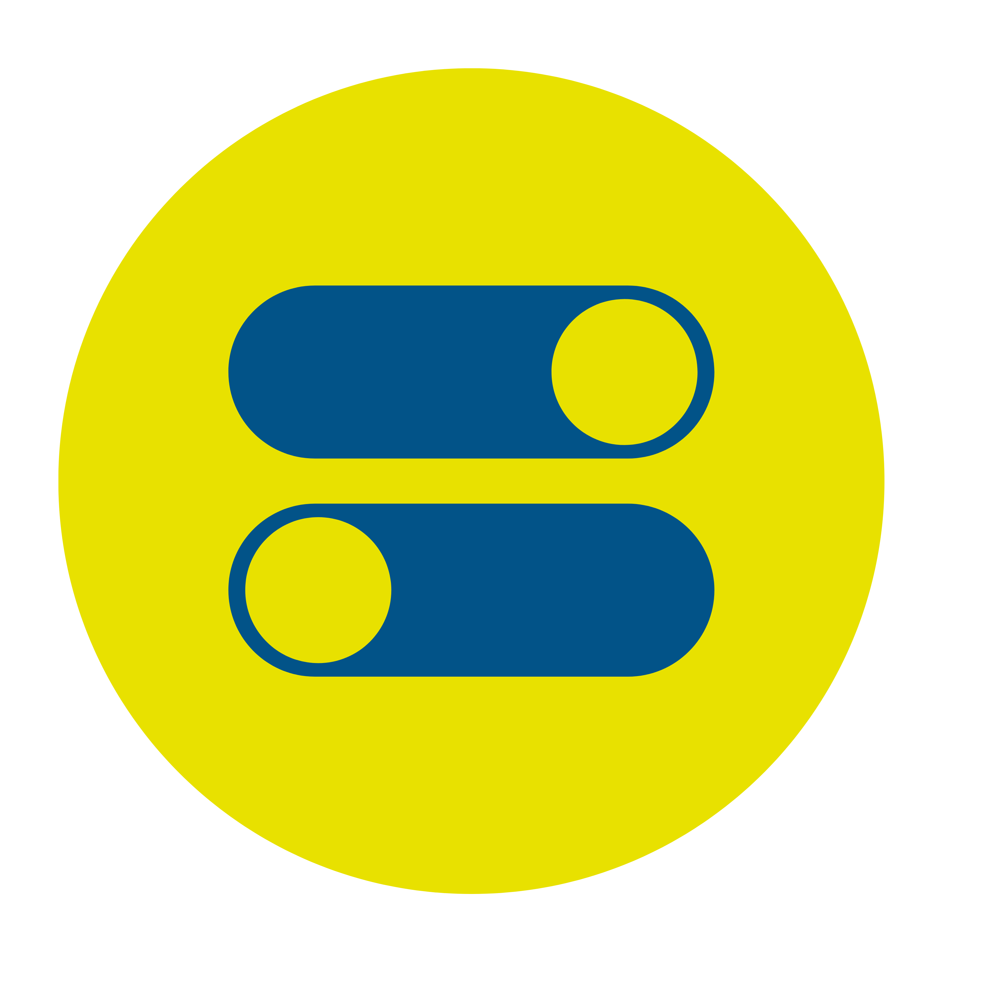 RoshPi